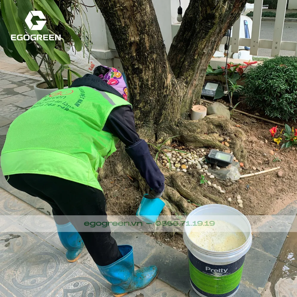 Bổ sung dưỡng chất cho cây xanh trong vườn.